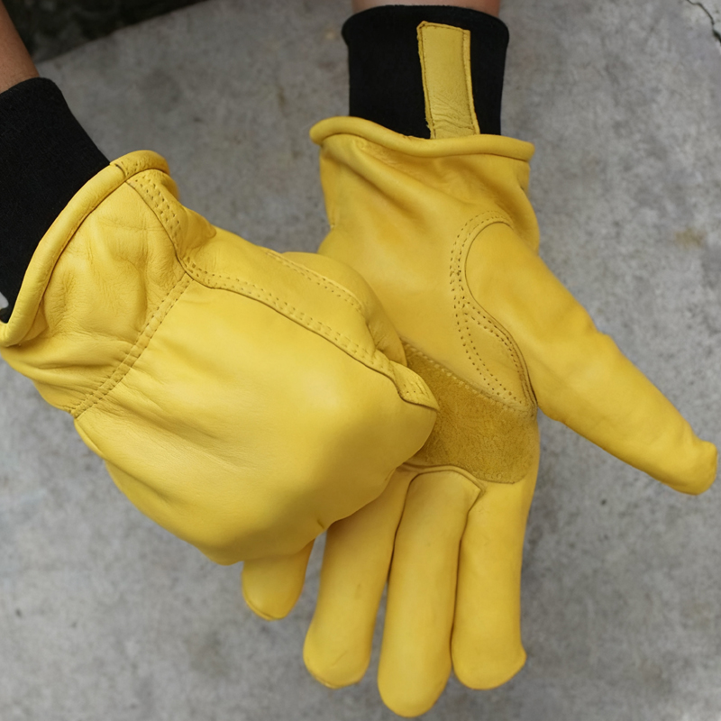 Guantes de invierno para motoc - Winter Glove Insulated reseña y precio